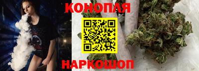 спиды Моздок