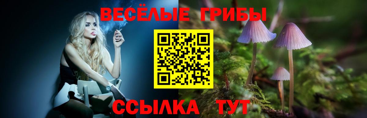 Галлюциногенные грибы Psilocybe  Вход с VPN  Татарск 